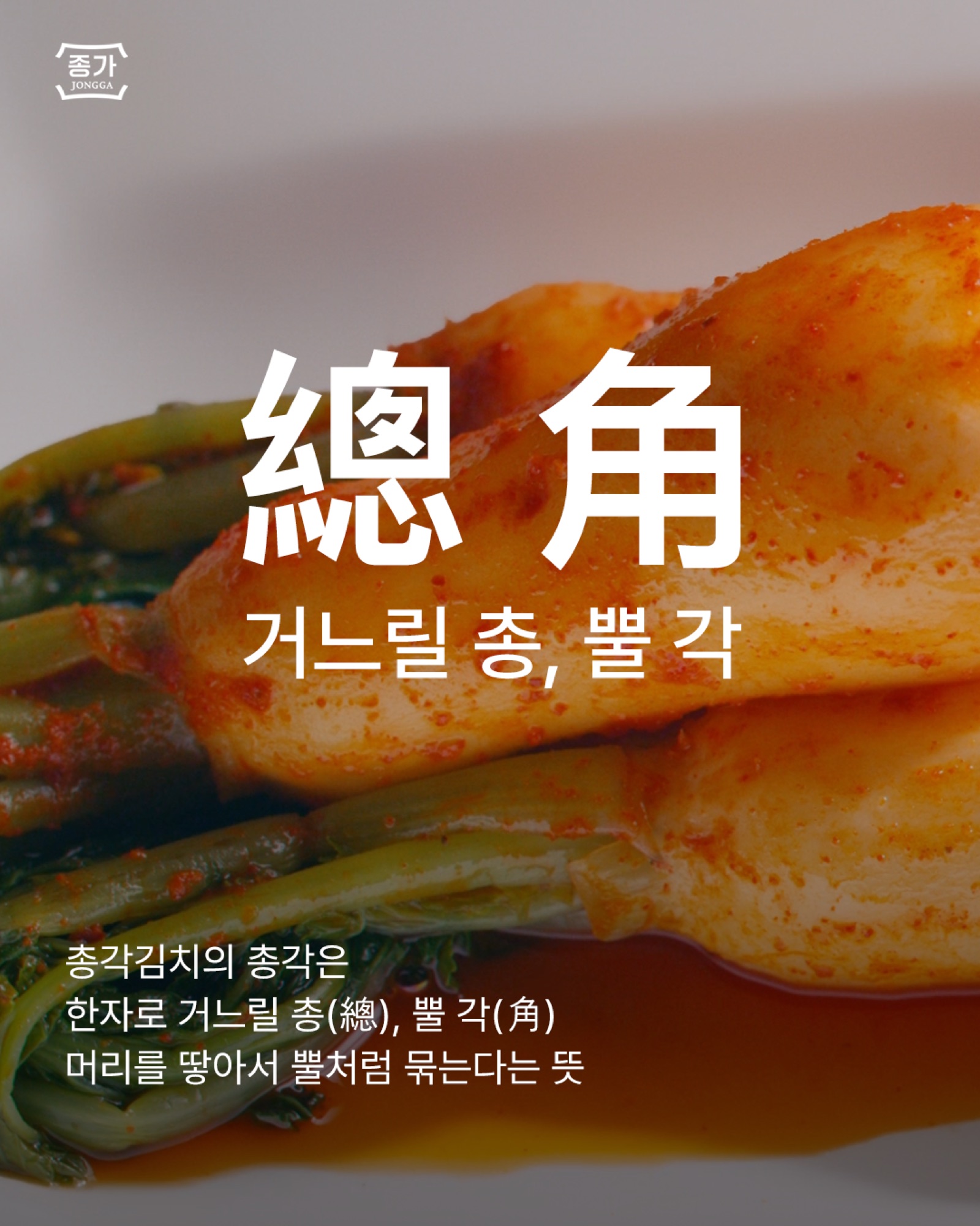 종가 김치피디아