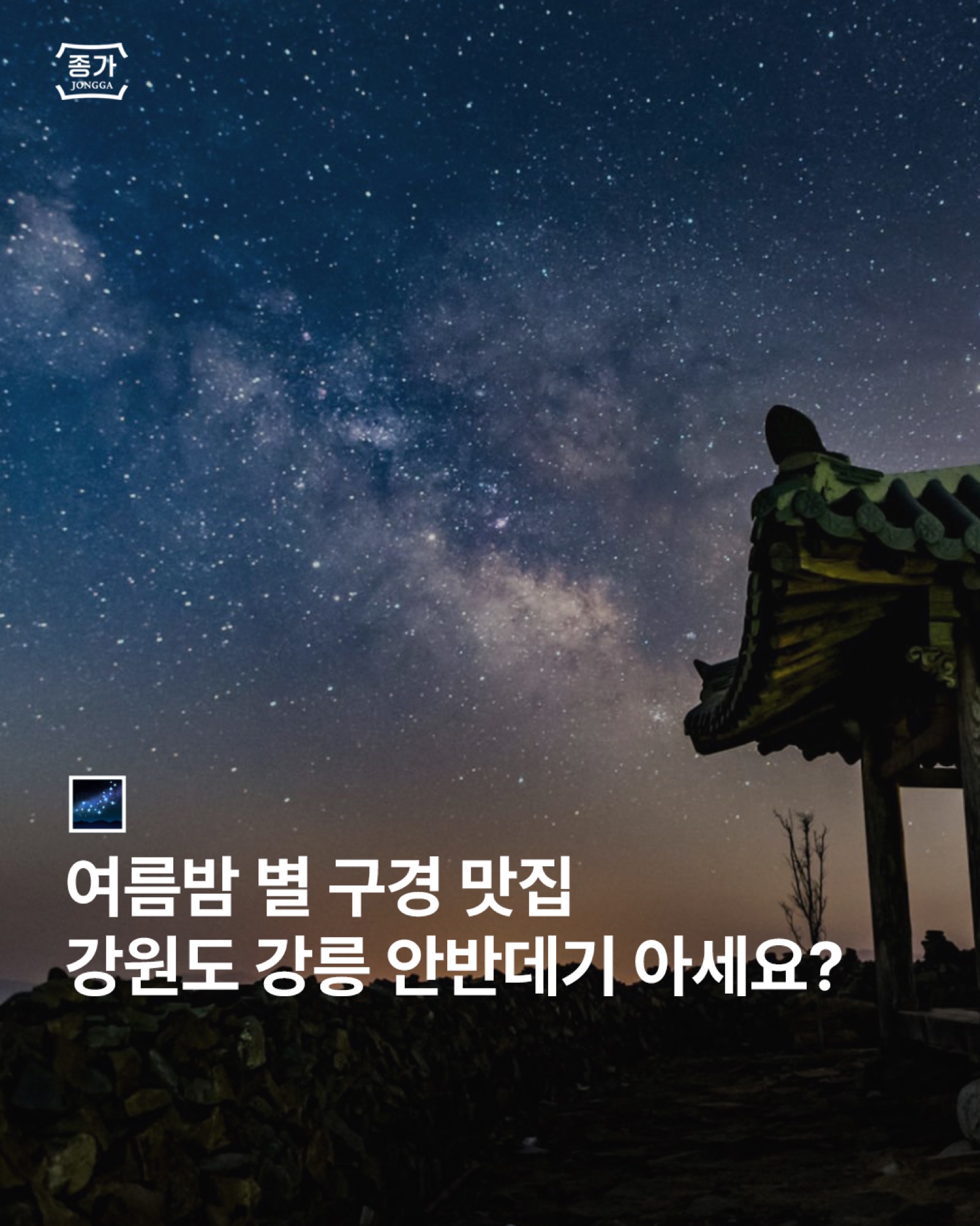 종가 김치피디아
